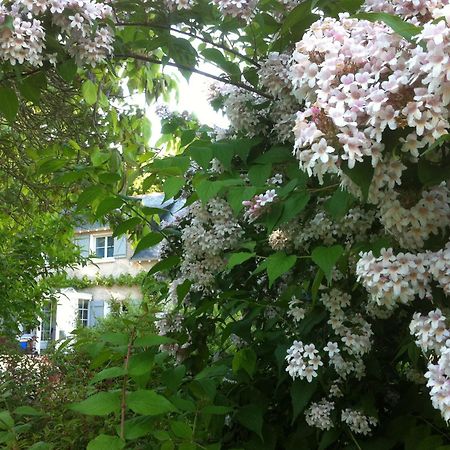 La Butte De Gohier Bed & Breakfast Blaison ภายนอก รูปภาพ