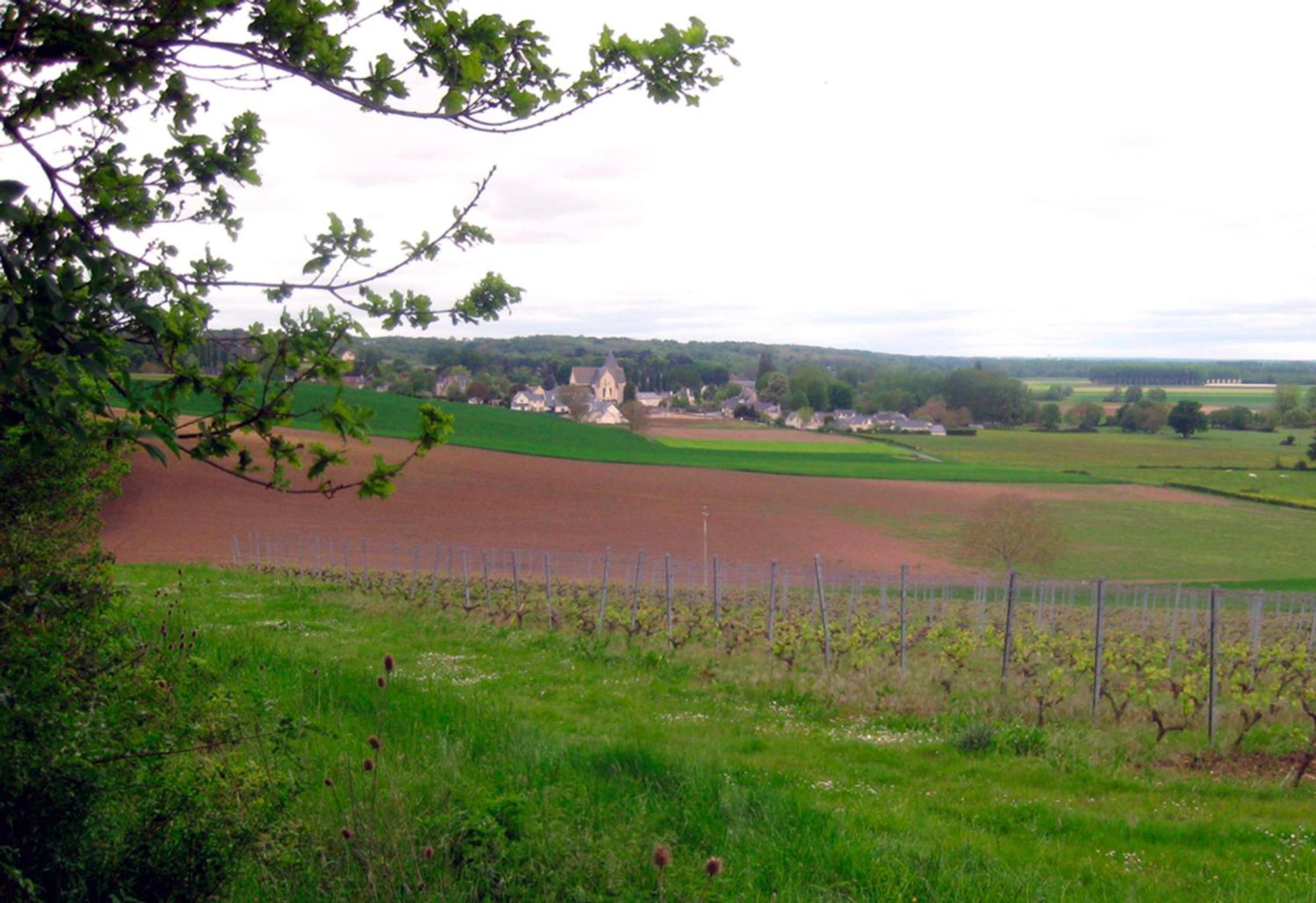 La Butte De Gohier Bed & Breakfast Blaison ภายนอก รูปภาพ