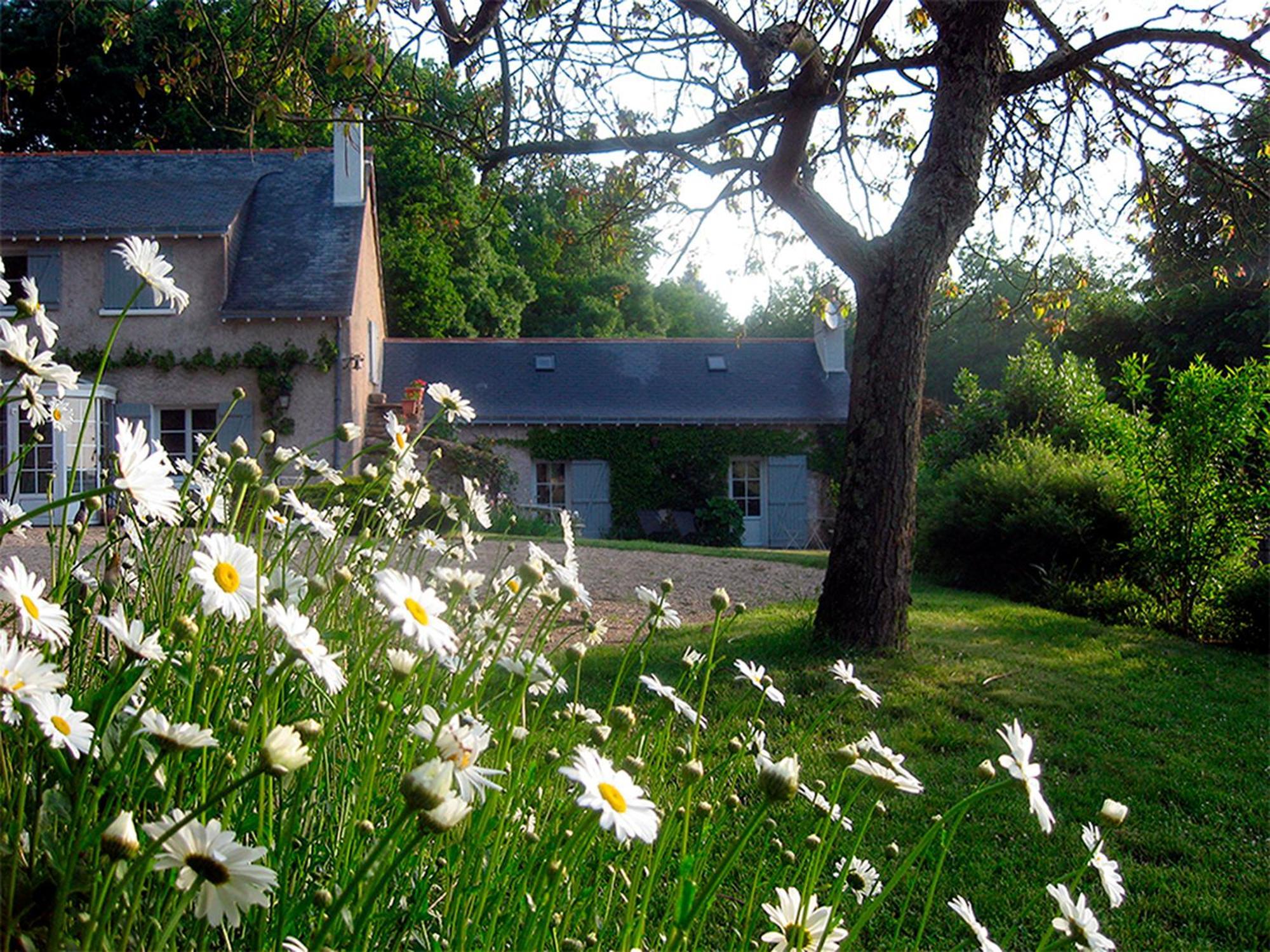 La Butte De Gohier Bed & Breakfast Blaison ภายนอก รูปภาพ