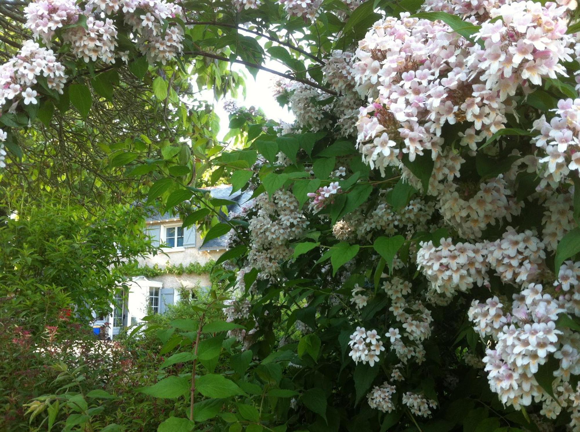 La Butte De Gohier Bed & Breakfast Blaison ภายนอก รูปภาพ