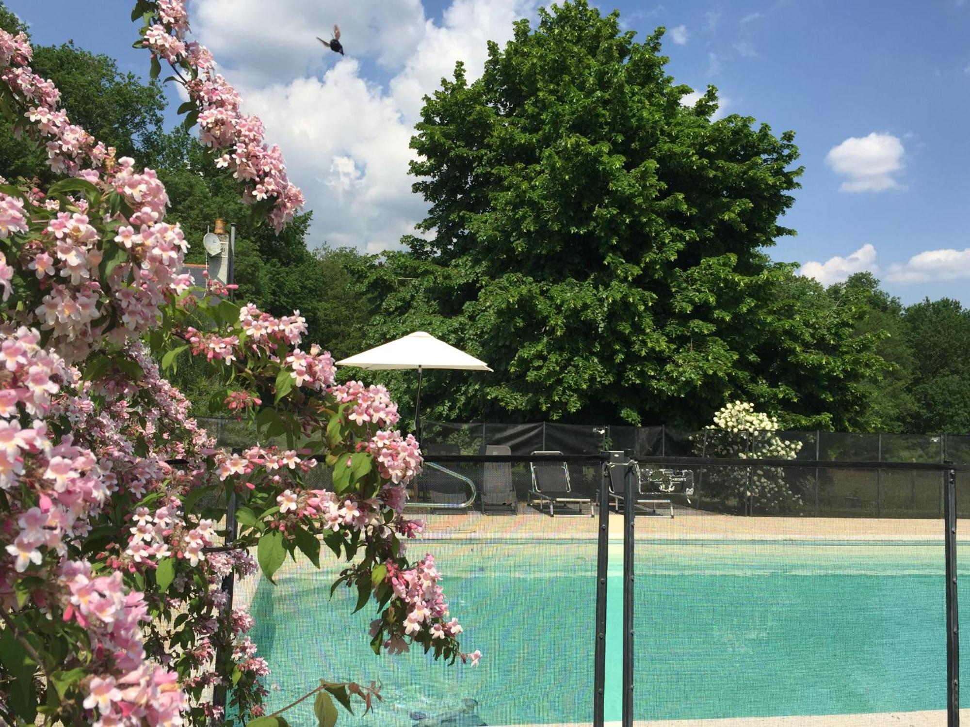 La Butte De Gohier Bed & Breakfast Blaison ภายนอก รูปภาพ